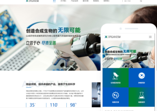 大型門戶網(wǎng)站建設(shè)